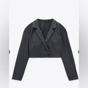 Zara Cropped Pinstripe Blazer (bnwt, M)